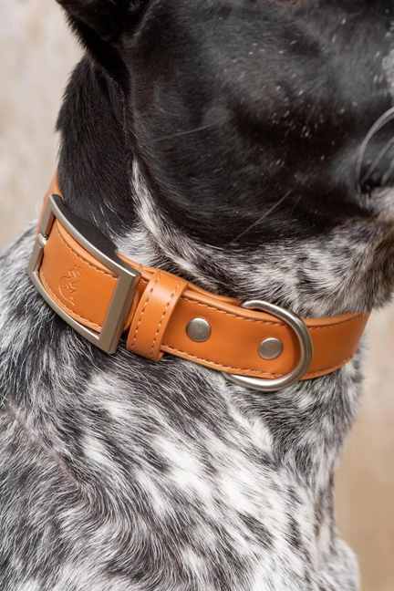 Sierra Sunrise Vegan Leather Dog Collar