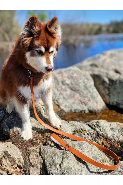 Sierra Sunrise Vegan Leather Dog Leash